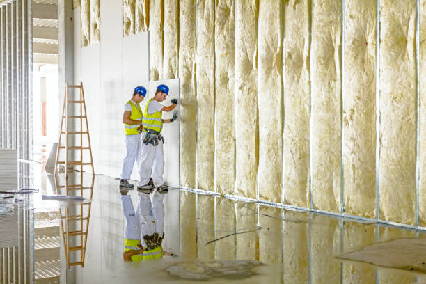 Insulation Repair Services in Mediapolis, IA